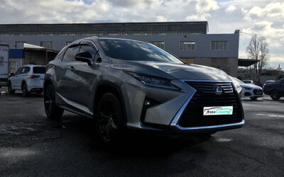 lexus-rx-2019 (3)